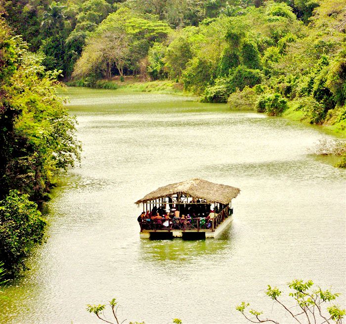 PUNTA CANA Jungle Eco Tour