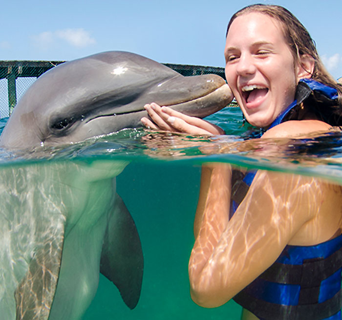 PUNTA CANA Dolphin ENCOUNTER