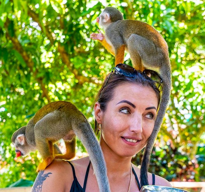 COFRESI - MAIMON Monkeyland