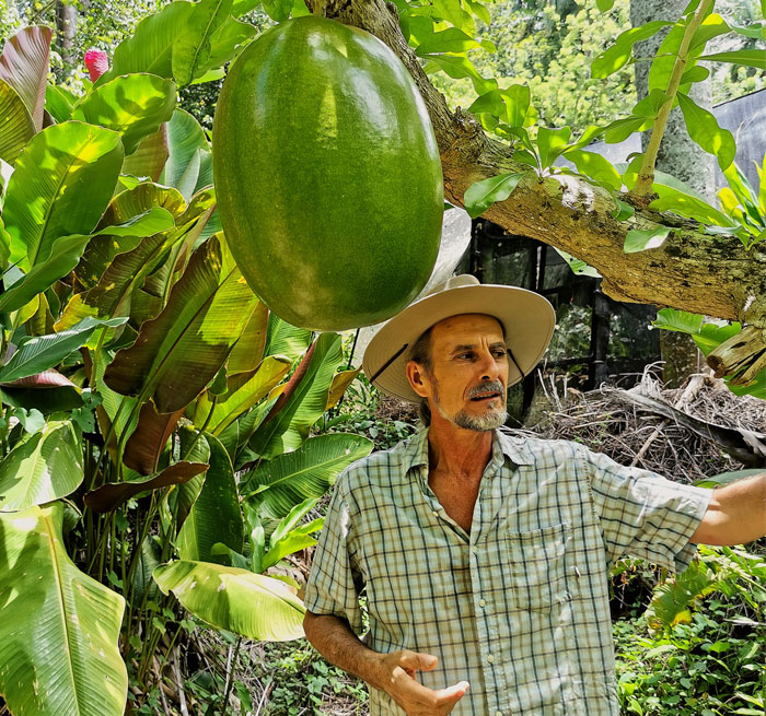 Taino Valley And City Tour, Pink Street, Umbrella Street, Culture Tour, Culture Taino Valley + City Tour from Sosua, Puerto Plata, Cabarete, Cofresi - Maimon - Dominican Republic