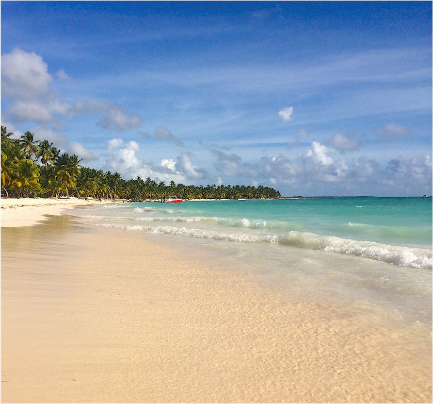Saona Island Crusoe Speed Boat Small Group, snorkeling, Speed Boat, Seavis, Kids Friendly,Saona,Island Saona Crusoe VIP from Bayahibe, Bavaro, Punta Cana, Uvero Alto, La Romana - Dominican Republic